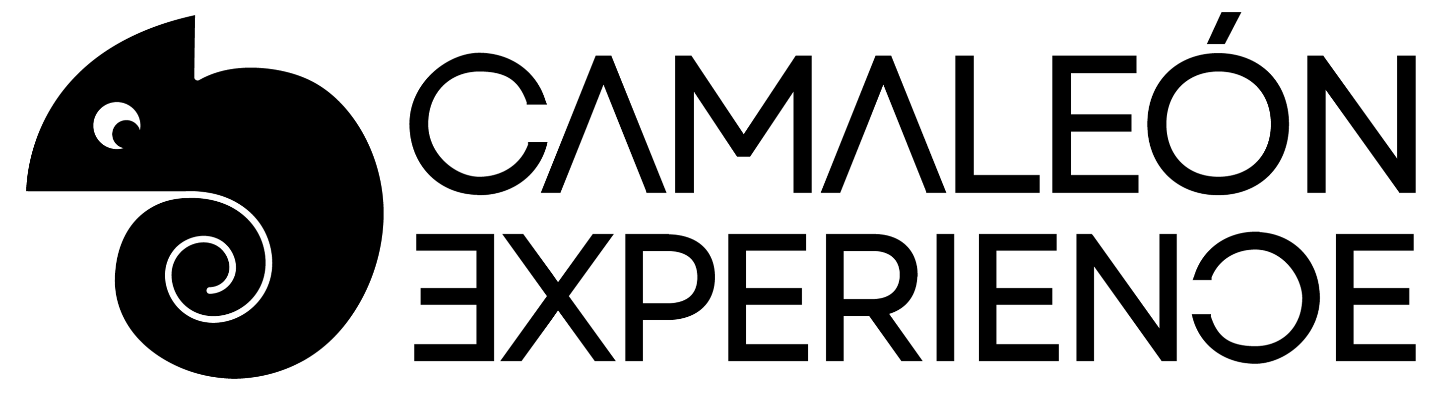 logo camaleon experience